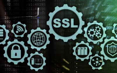 The Importance of SSL Certificates for Your Website Security